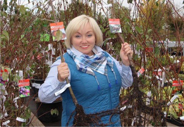 Приобретение растений Приобретение растений