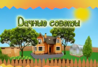 Смотрите Дачные советы в четверг 06.07.2017 г. в 19.20 на телеканале Губерния