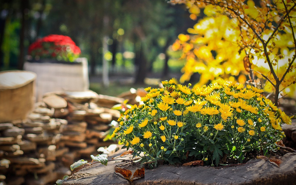Дача в ноябре Дача в ноябре