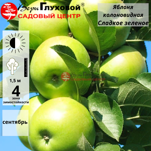 Основное изображение товара