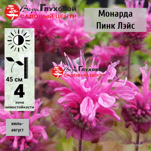 Основное изображение товара