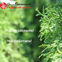 Садовый центр продолжает работать