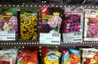 Дорогие друзья! Приглашаем всех в наши магазины за семенами многолетних цветов и овощных культур.