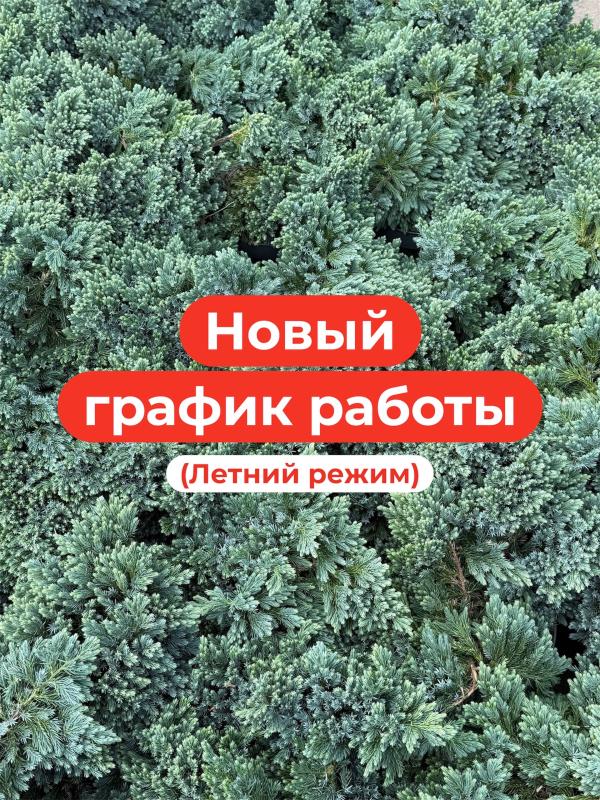 Переходим на летний режим работы! 