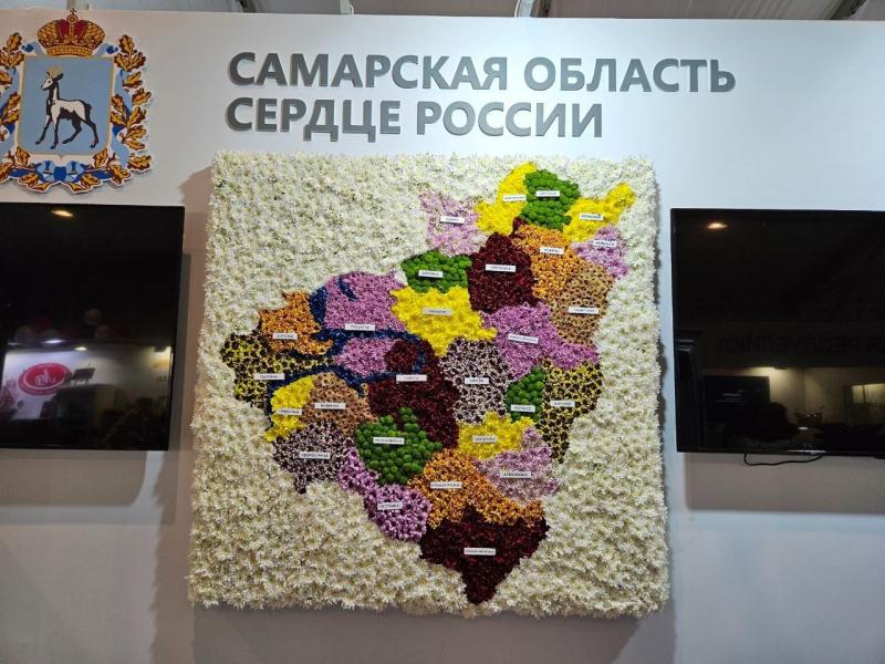 Карта Самарской области из хризантем на XXV Российской агропромышленной выставке «Золотая осень» 