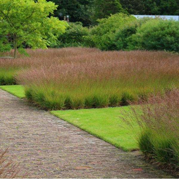 Основное изображение товара