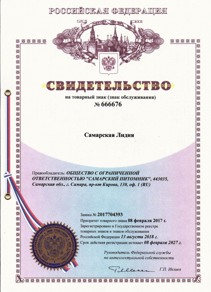 Патент на название нового сорта гортензии Самарская Лидия, Россия, получен в 2018 году.jpeg