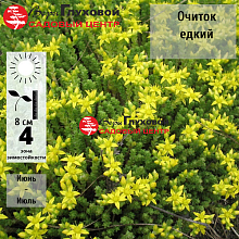 Основное изображение товара