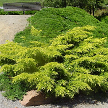 Основное изображение товара