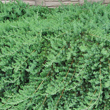 Основное изображение товара