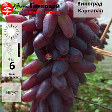 Основное изображение товара