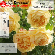 Основное изображение товара