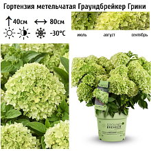 Основное изображение товара