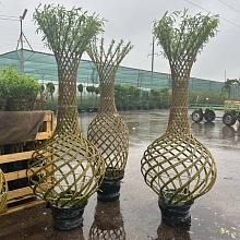 Основное изображение товара