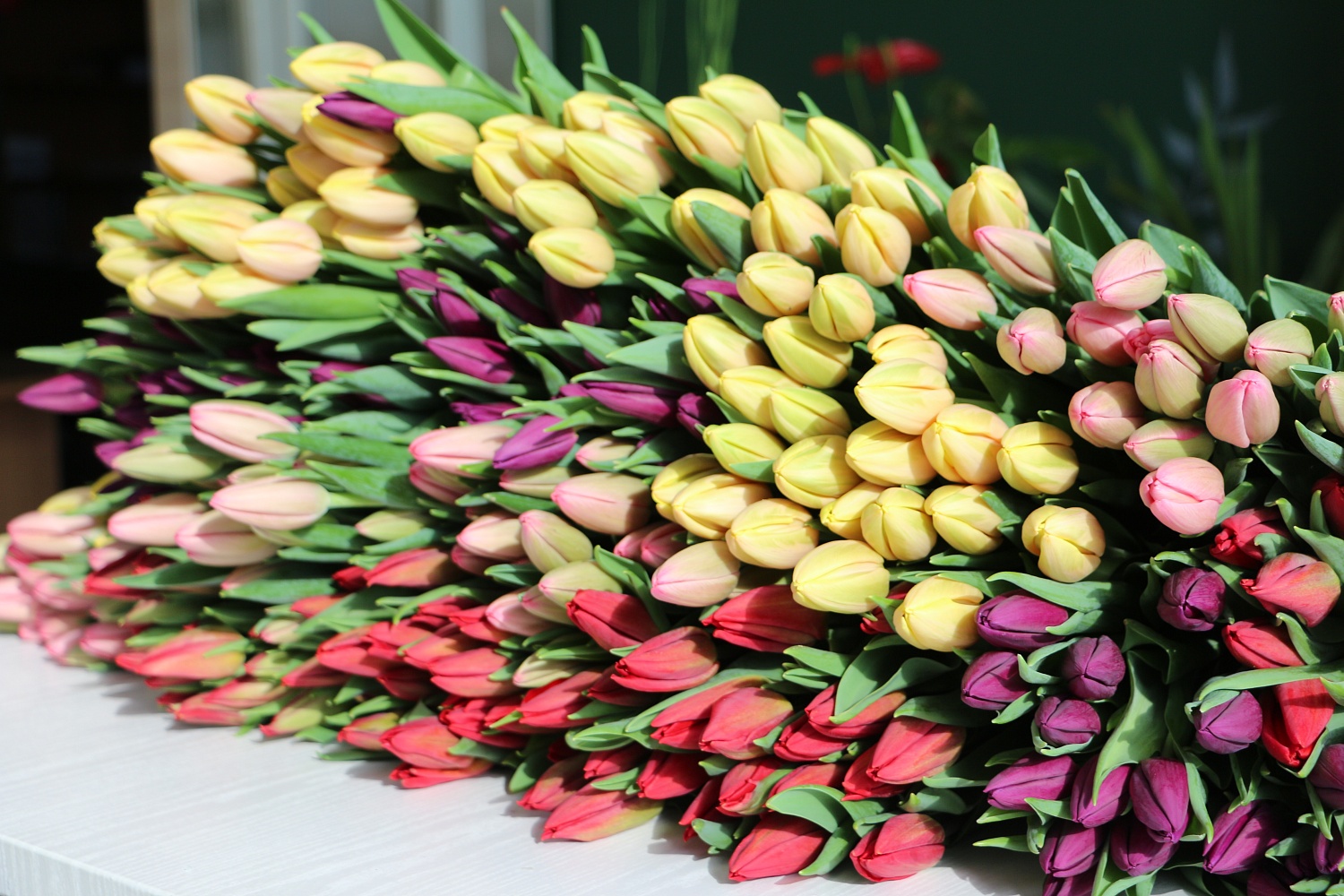 Срочная и очень хрустящая новость!