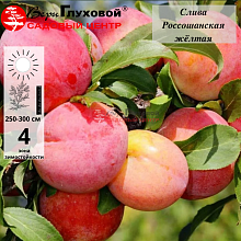 Основное изображение товара