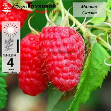 Рисунок 175.jpg