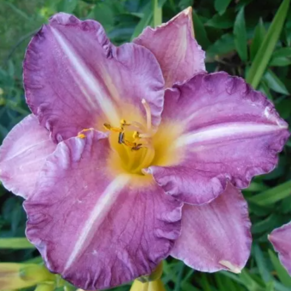 Основное изображение товара