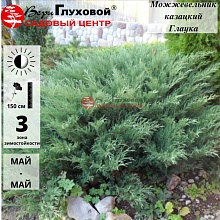 Основное изображение товара