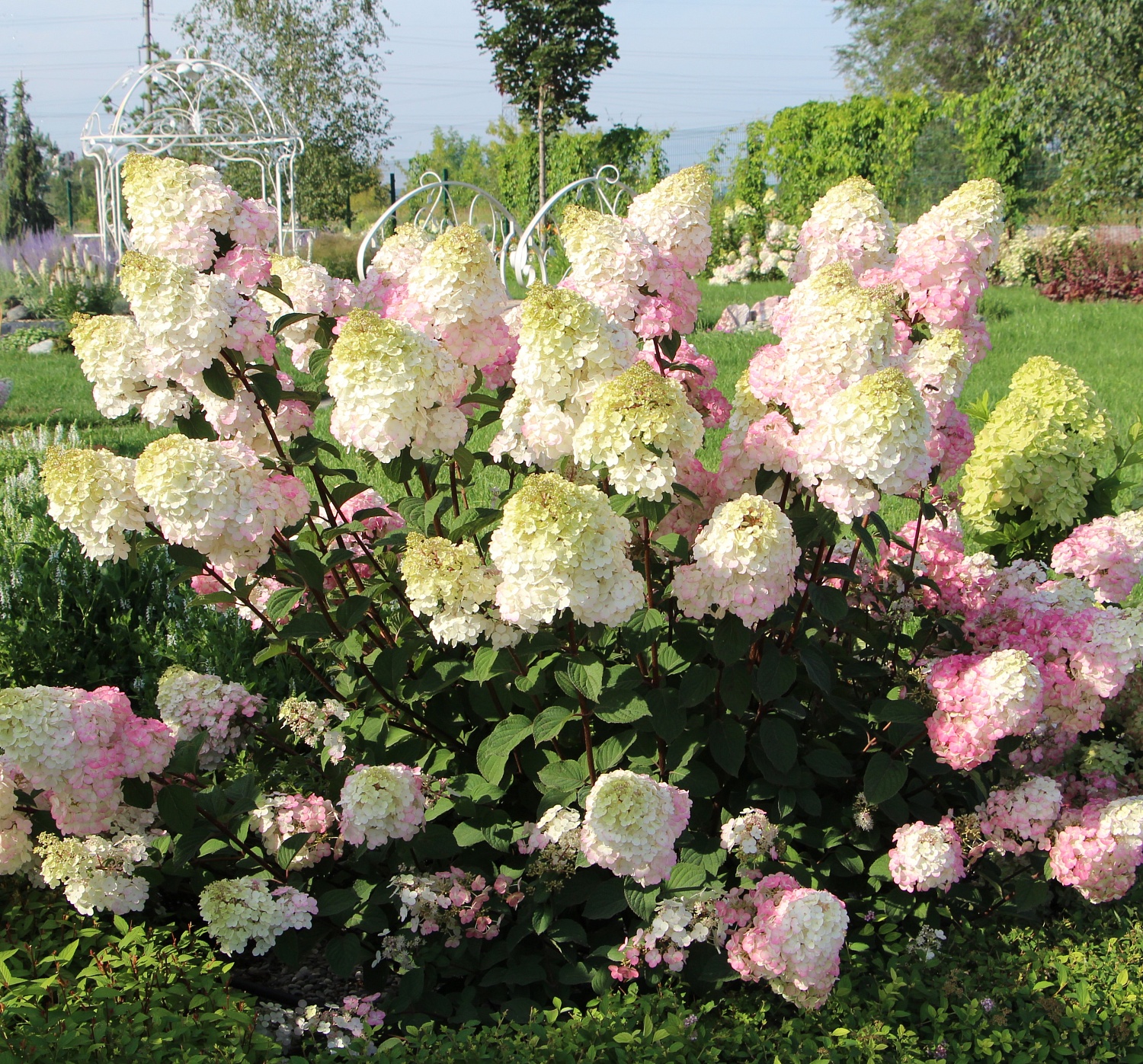 Внимание! Внимание! Внимание!